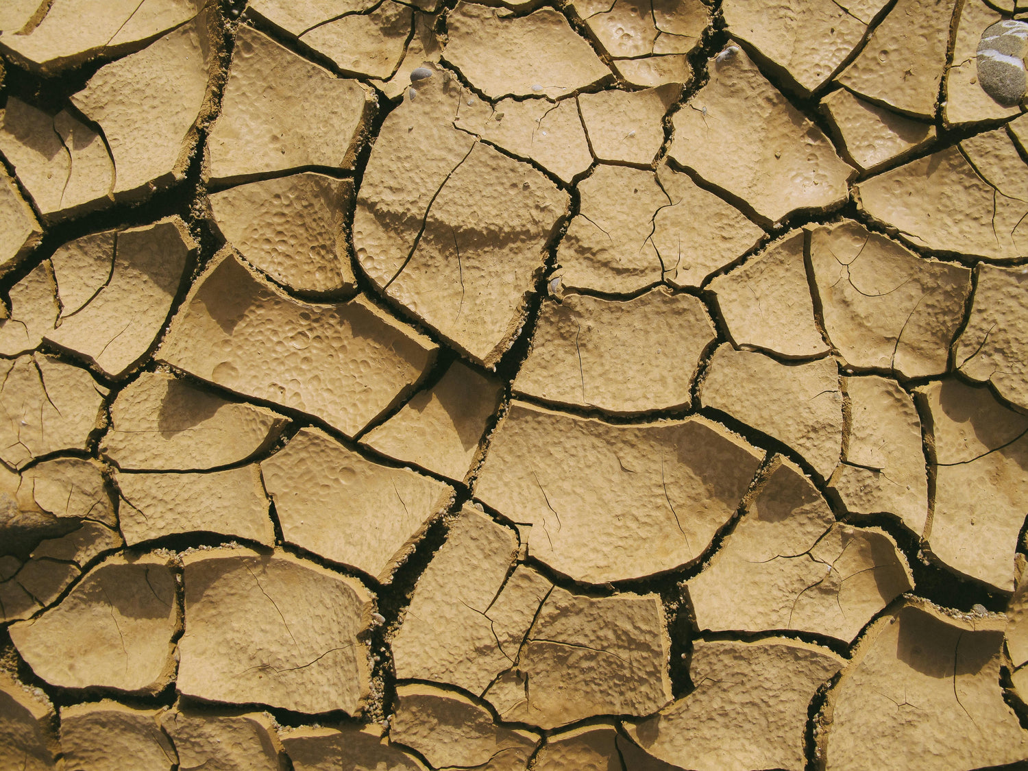 Uitdagingen voor Nederlands waterbeleid: Drogere zomers, nattere winters en stijgende zeespiegel